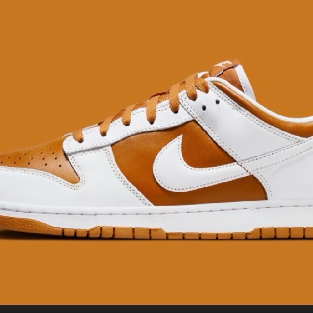 Nike Dunk Low Reverse Curry